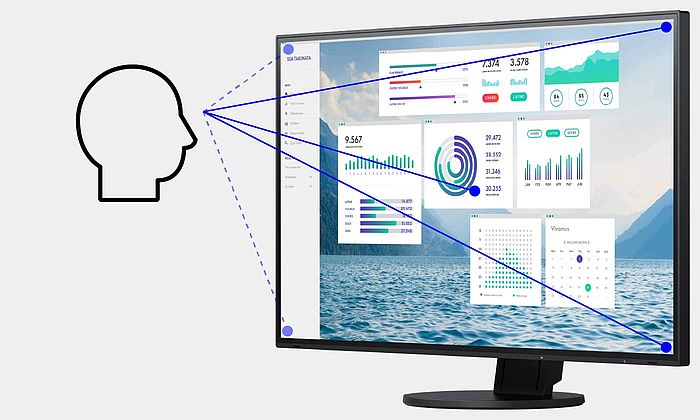 24" LCD EIZO FlexScan EV2430